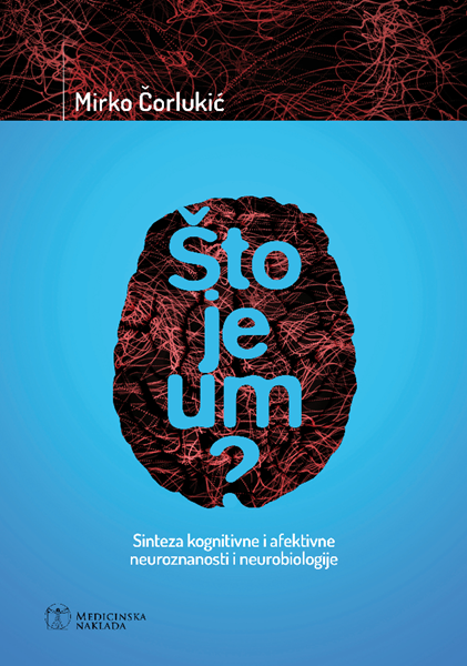 Što je um - Mirko Čorlukić