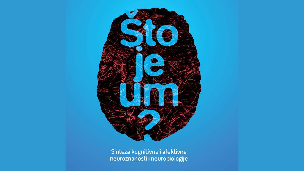 Što je um - Mirko Čorlukić