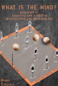 What is the mind - Mirko Čorlukić